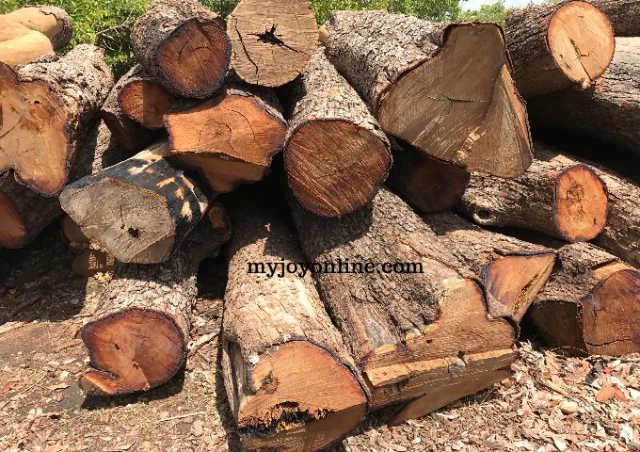 WhatsApp Image 2019-07-31 at 9.10.33 AM