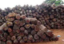S/R: Govt to take over ‘stubborn’ Chinese Rosewood firm – West Gonja DCE
