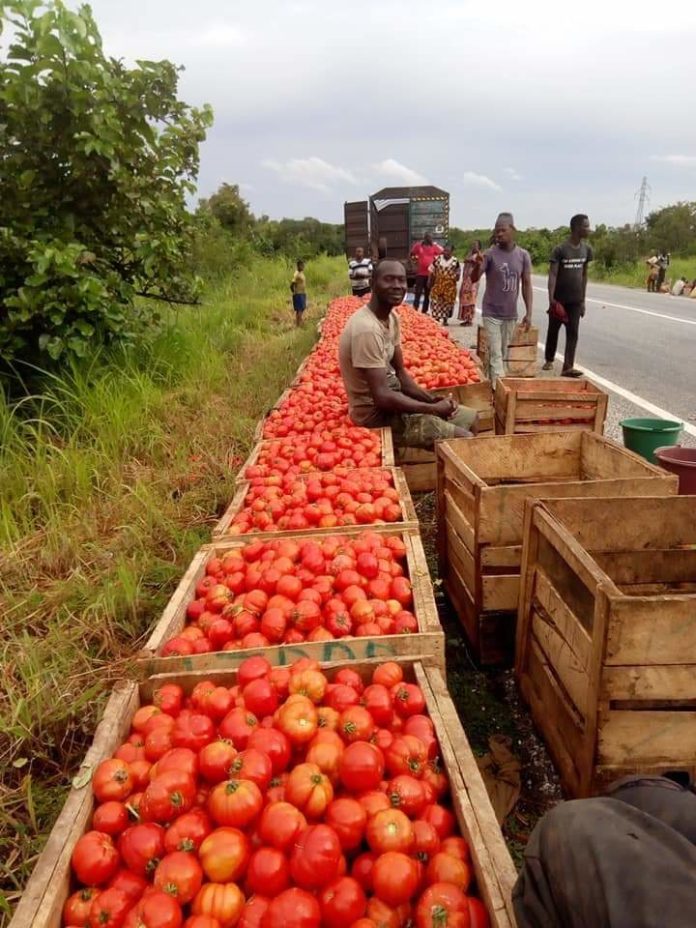 FB_IMG_1567120921004