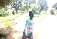 Rampaging Damongo Youth Kill Over 100 Pigs