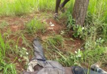 Man Die through motor accident In Damongo