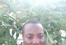 Bole NPP Youth Invaded DCE’s Residence and forcefully took away Sheep meant for Farmers out of frustration- says NDC