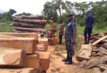 5 Arrested With Rosewood In Salaga