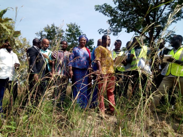 IMG-20191202-WA0059(1)