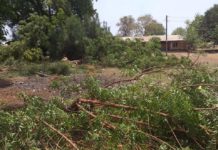 Bole NPP Builds Office On Gov’t Land- Says NDC