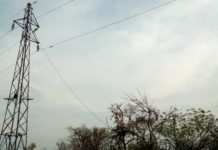 Charcoal Burners Put Damongo In Darkness