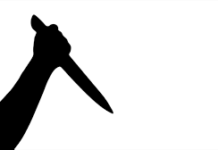 38 year old man stabs brothers wife to death at Nabori