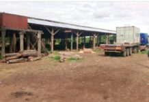 Damongo Chinese Rosewood Company Finally Closed Down