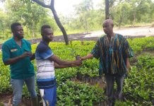Bole District Assembly Hands Over 150,000 Cashew Seedlings To Farmers