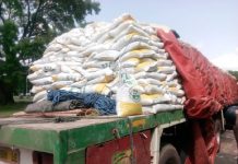 Shortage of Fertilizer Hits Savannah Region