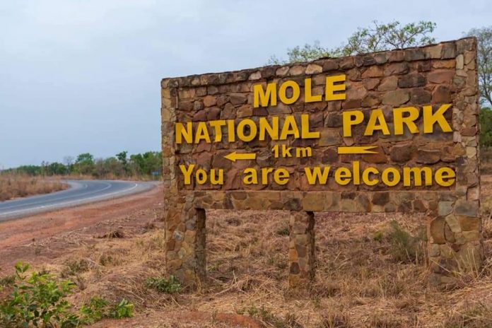 FB_IMG_1632832713886