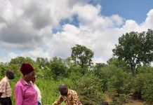 Bole DCE Tours Communities To Inspect roads damaged by Rains