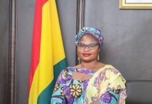 Madam Losina Barikisu Deserves to be DCE for Sawla- NPP Youth