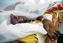 Savannah Region: Districts near West Gonja should be on alert over Yellow Fever- Health Directorate