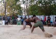 Project To Revive Ancient Gonja Wrestling Competition ‘Shea Tree’ Launched at Damongo
