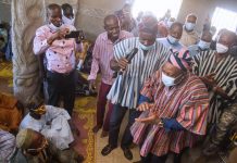 Chiefs of Bole will lead John Mahama’s campaign to be President- Paramount Chief