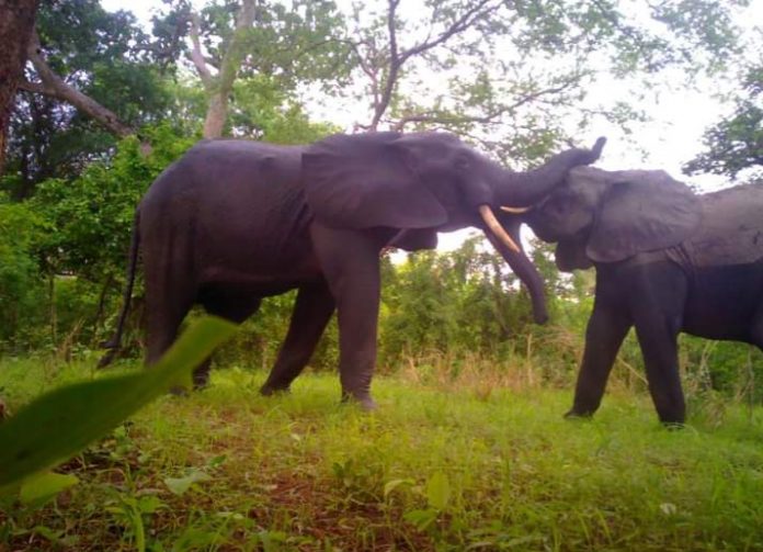 FB_IMG_1650649567934