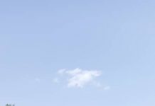 Old Students of Bole SHS stops Auctioneers from taking away School Bus