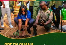 Savannah Region: Naada Jinapor Foundation To Plant 2000 Trees In Busunu
