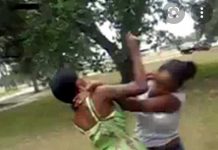 Video: Bole Girl beats Friend mercilessly for snatching her lover