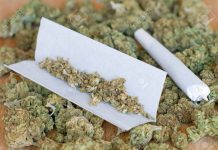 Damongo Health Centre turned into Weed Smoking & Trading site