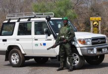 Mole National Park receives vehicle from the CITES-MIKE programme for operations