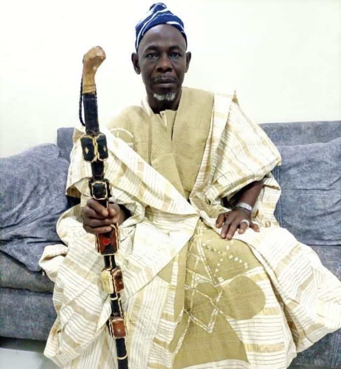 FB_IMG_1677546726394