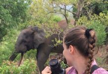 Be Part Of Mole Easter Experience- Tourism Officer