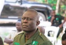 Green Ghana Day: Savannah Region To Plant 120,000 Seedlings- Mole Park Manager