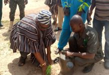 Green Ghana Day: Bole District Distributes Over 400,000 Seedlings