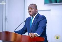 Lawyer Abu Jinapor is a Precious Tree in Savannah that Must be Protected