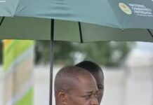 Bole will soon look like Dubai- MP Assures