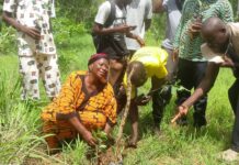 S/R: Ghana Wildlife Society Launches Tree-Planting Initiative at Keni-Keni Forest Reserve
