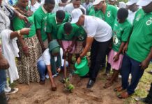 Bole: MP Engages with Bole SHS on Tree for Life Reforestation Initiative
