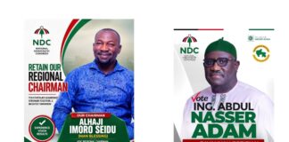 Savannah NDC Executive Elections: Who Has Picked Forms and Who Has Dropped?