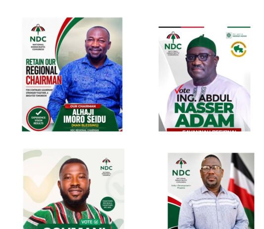 Savannah NDC Executive Elections: Who Has Picked Forms and Who Has Dropped?